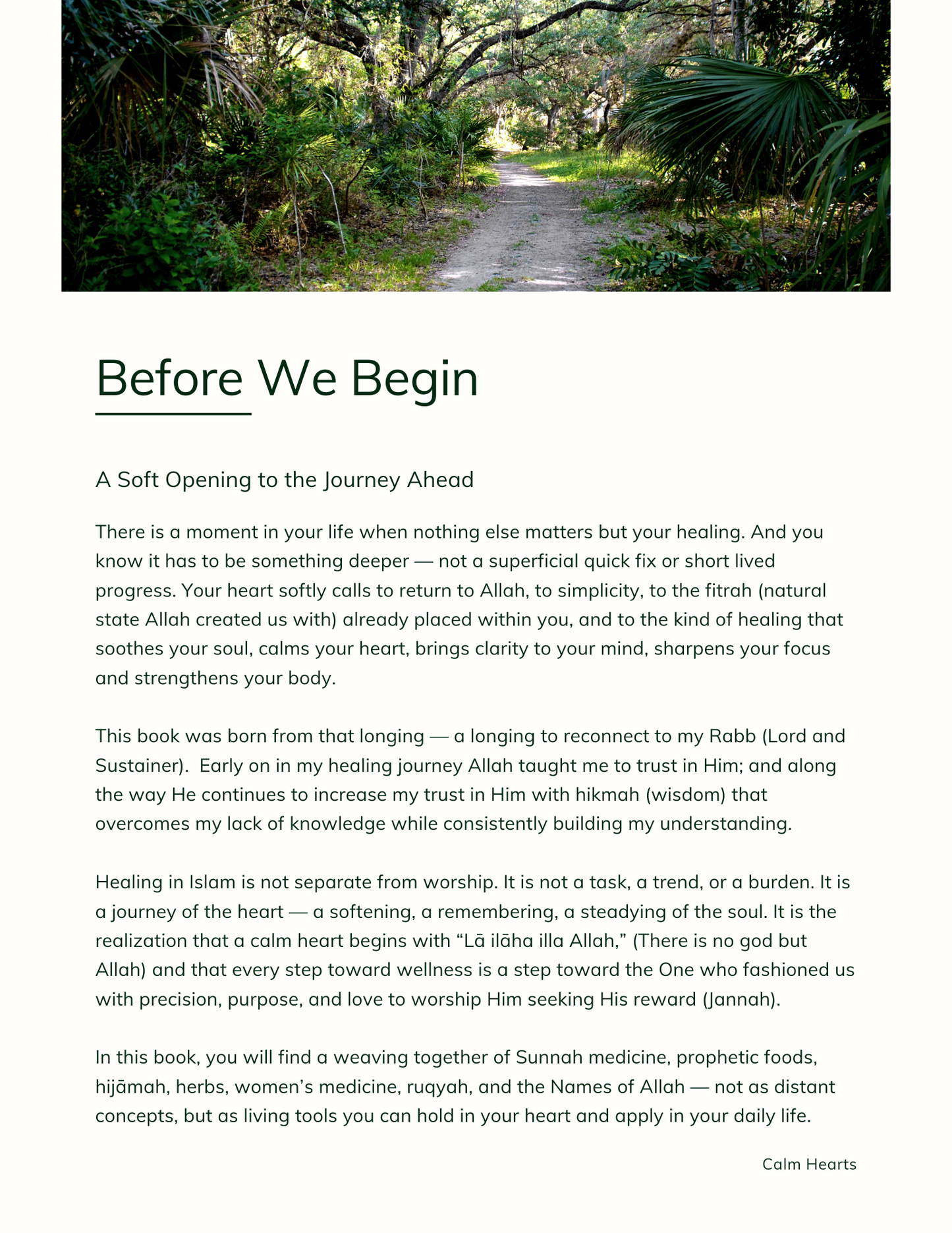 Calm Hearts, Trusting Souls: A Sunnah Rooted Path To Healing  PREORDER