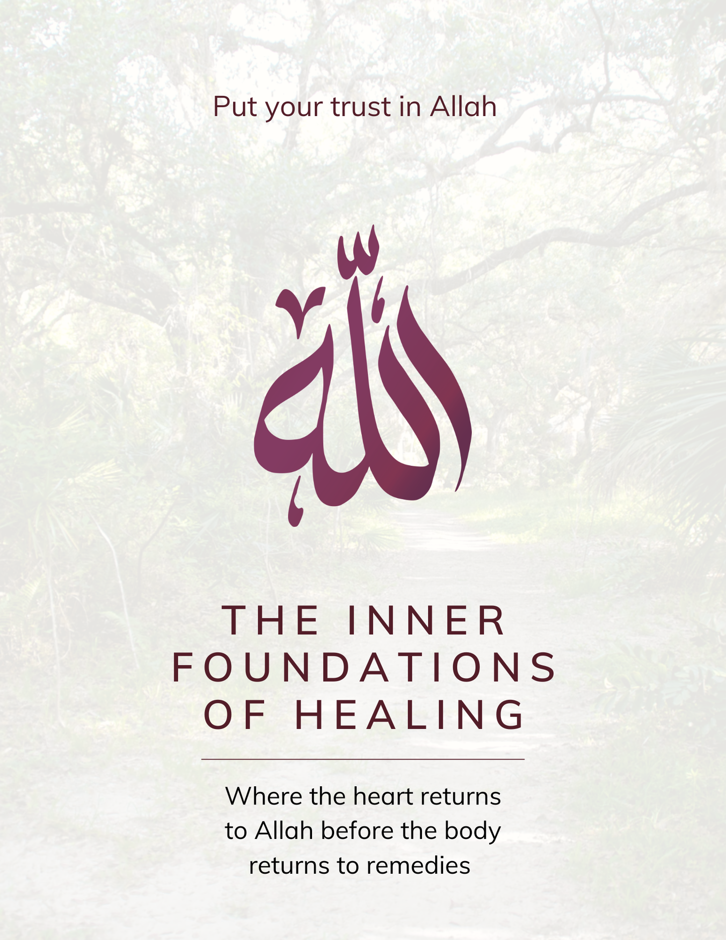 Calm Hearts, Trusting Souls: A Sunnah Rooted Path To Healing  PREORDER