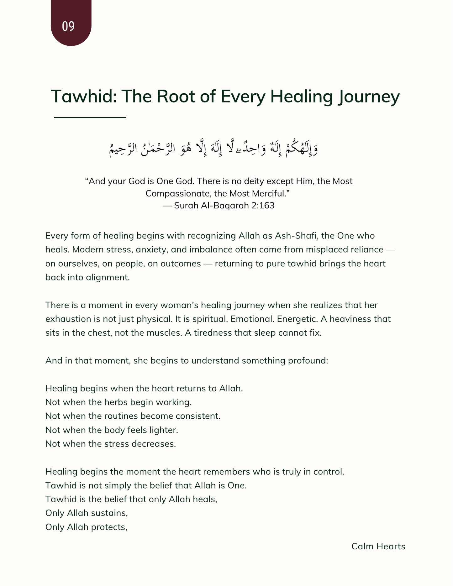 Calm Hearts, Trusting Souls: A Sunnah Rooted Path To Healing  PREORDER